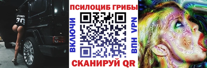 Галлюциногенные грибы MAGIC MUSHROOMS  Купить закладки  Спасск-Рязанский 